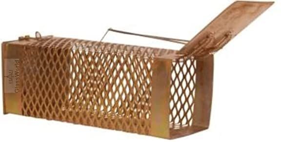 mouse catcher iron small - ultimate solution to all rat problems live trap