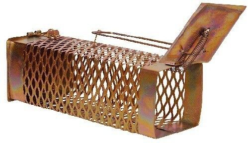 chuhedaan mouse-trap-cage-1 Live Trap-picture-20