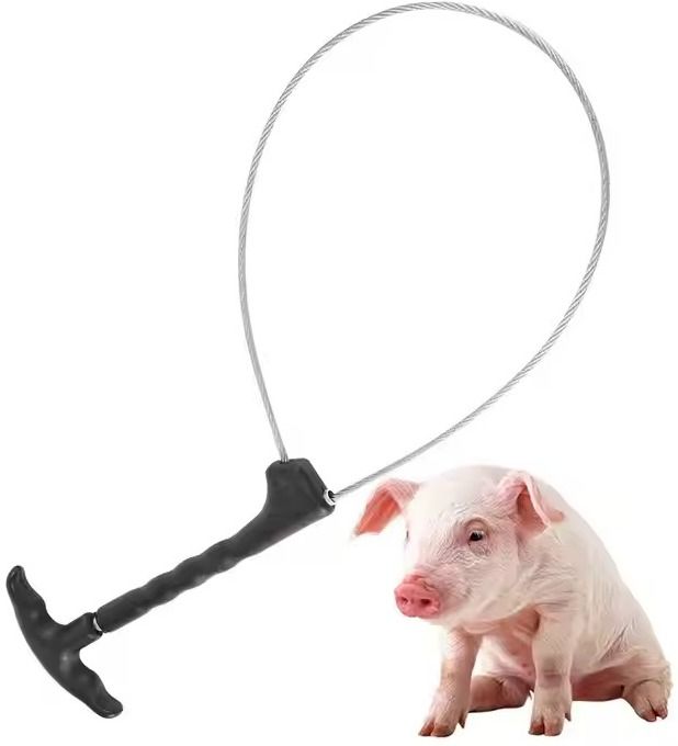 Stainless Steel Hog Pig Catcher Pole ?Holder Control Tool Snap Trap-image-2