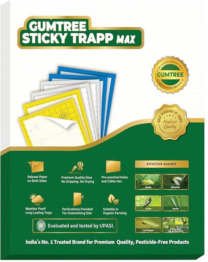 yellowstickytrapsmax-20 snap trap