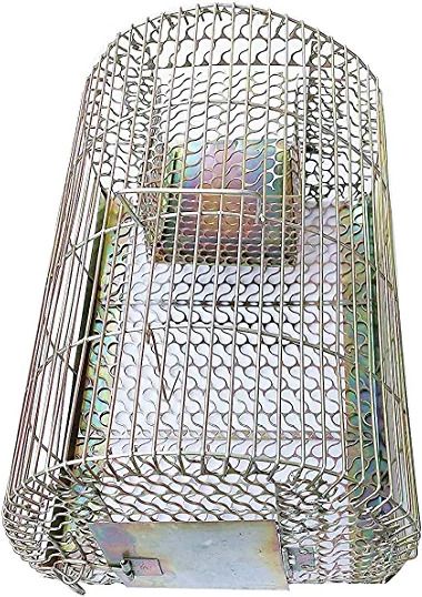 Iron Trap for Catching Rat/Mouse/Big Size & Durable Live Trap-image-9