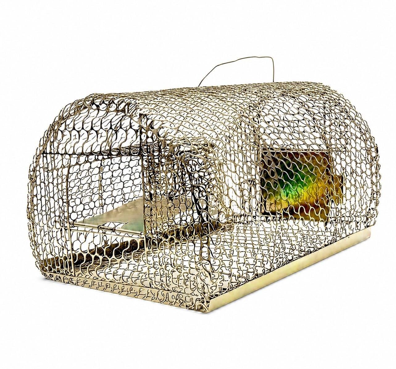 aarambh Iron Mouse/Rat Trap for catching Small & Large Size Rats Live Trap-picture-32