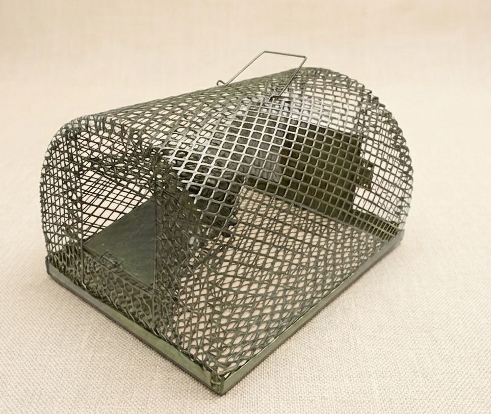 rsenterprises chuha pakande wala, mouse catching, rat Trap Live Trap-picture-1