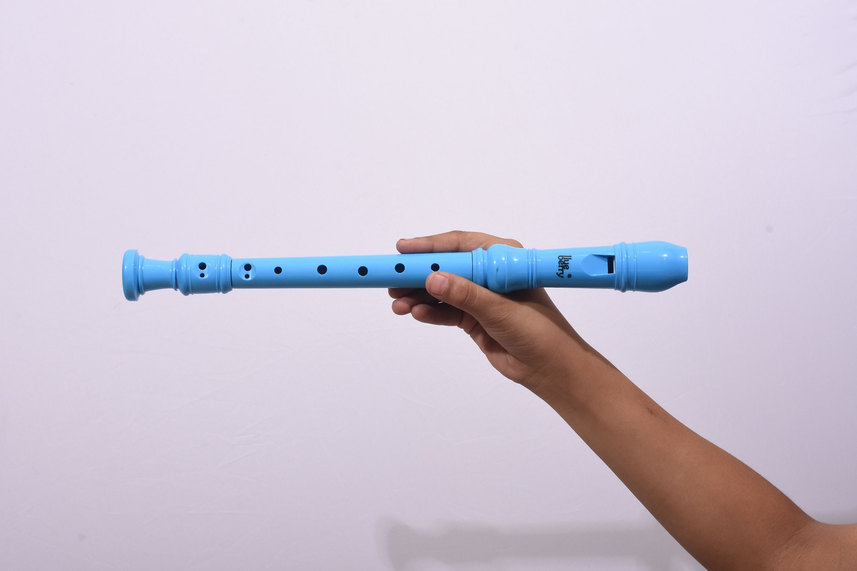 blueberry Plastic Recorder-picture-16