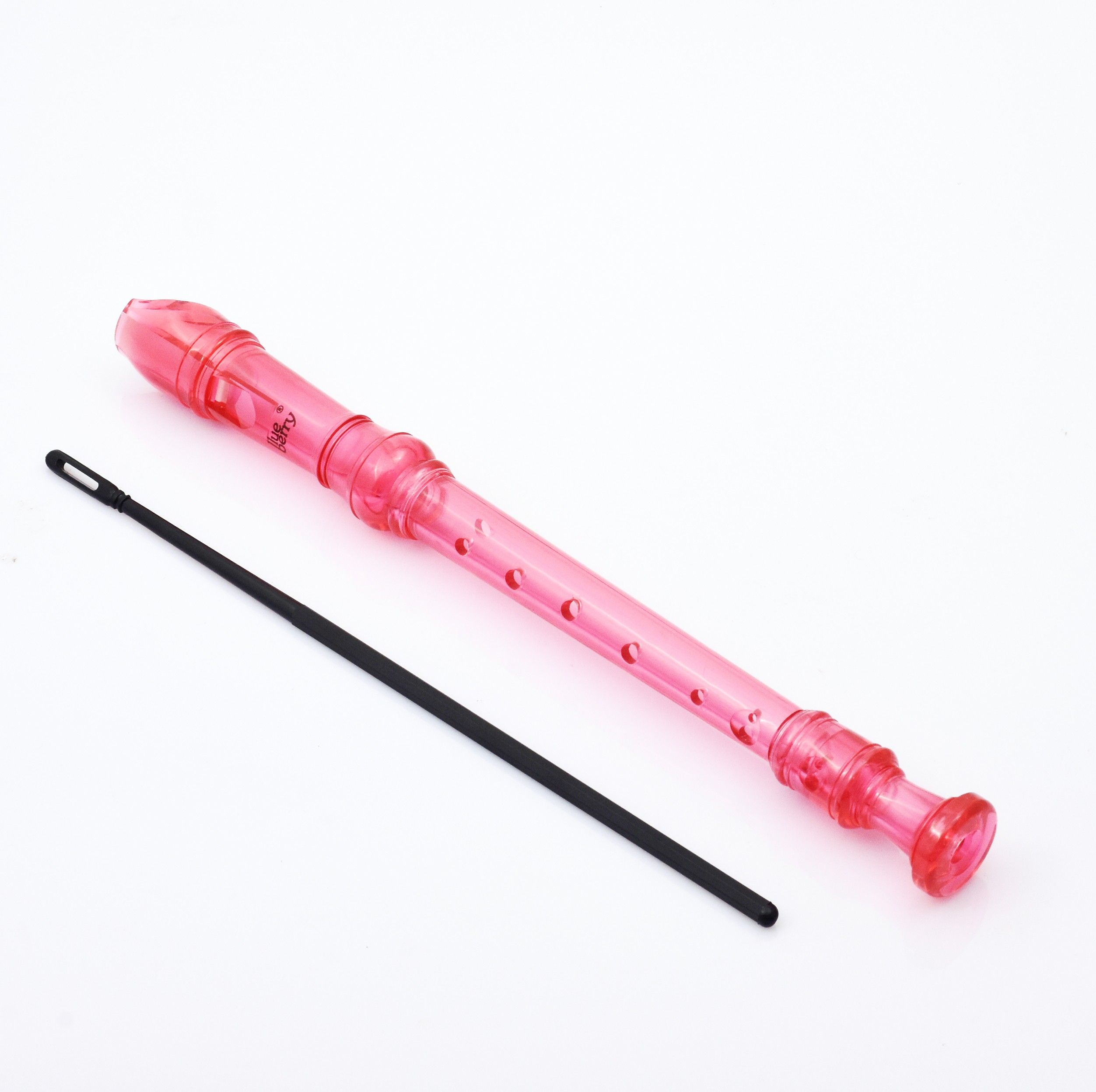 blueberry Plastic Recorder-picture-20