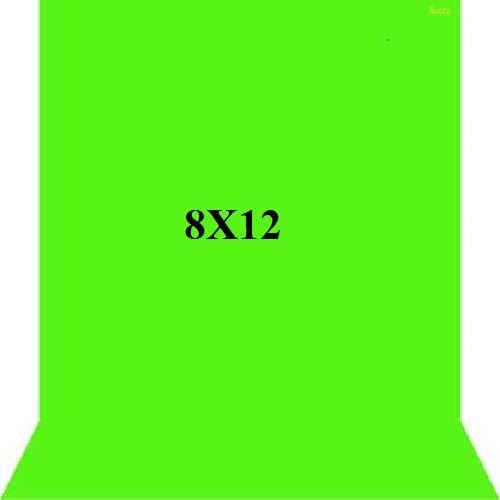 Kate 8x12 green yutube background Reflector-picture-29