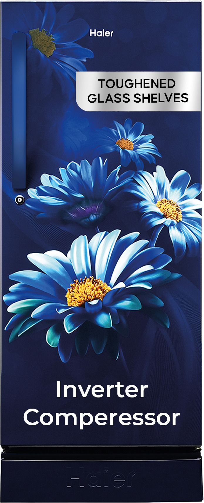 190 L Direct Cool Single Door 5 Star Refrigerator with Base Drawer-image-36