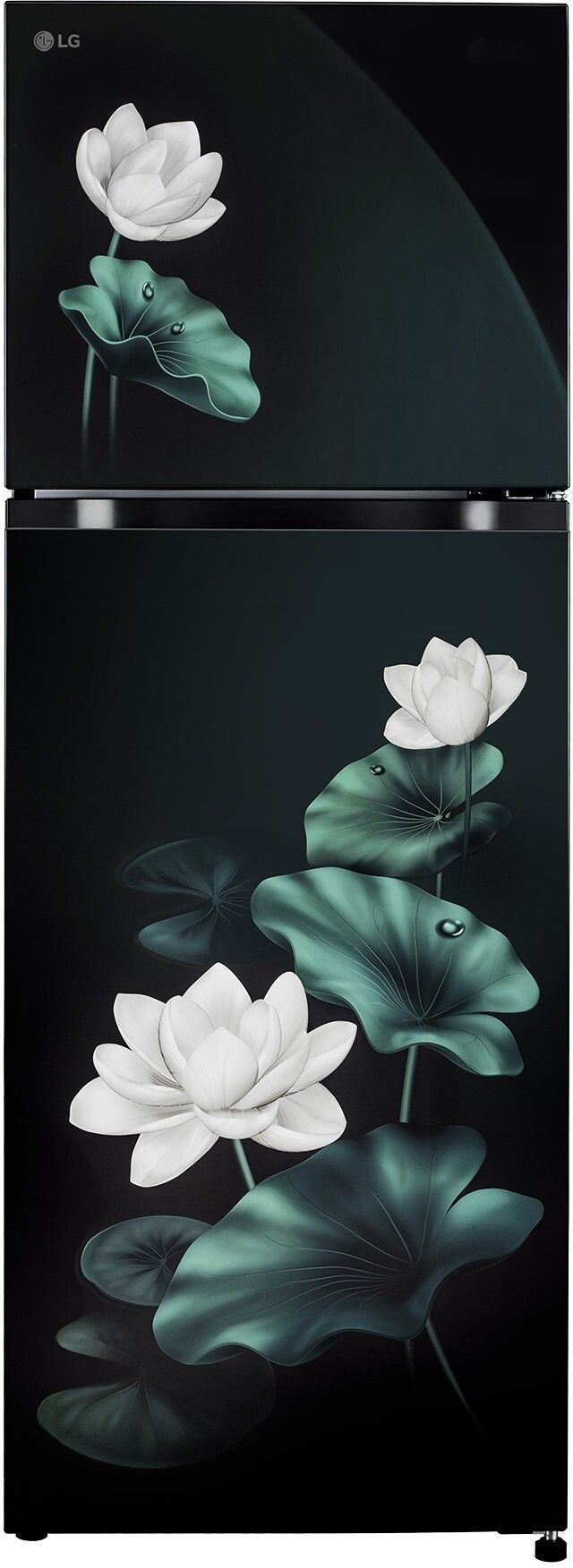 251 L Frost Free Double Door 2 Star Convertible Refrigerator-image-18