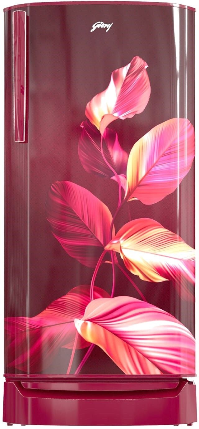godrej 180 L Direct Cool Single Door 2 Star Refrigerator-picture-15