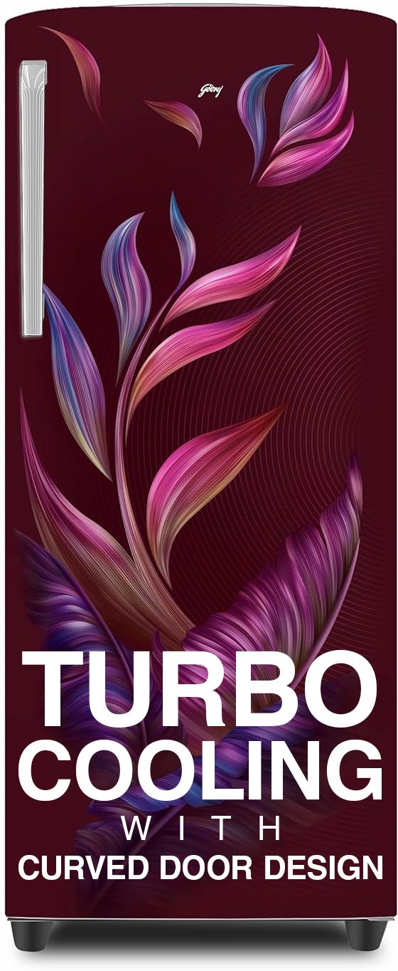 godrej 268 L Direct Cool Single Door 3 Star Refrigeratorwith Turbo Cooling Technology Ensuring Faster Cooling-picture-49