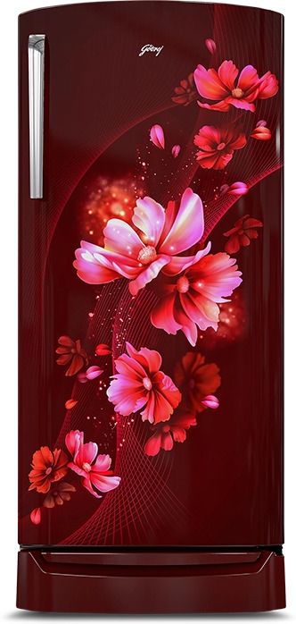 godrej 180 L Direct Cool Single Door 3 Star Refrigerator with Base Drawer-picture-16