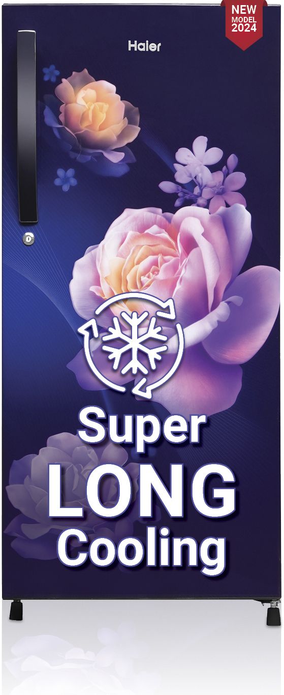 haier 190 L Direct Cool Single Door 2 Star Refrigeratorwith Large Storage Space1 Hour Icing Technology-picture-14