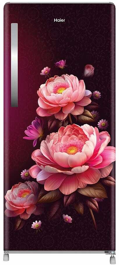190 L Direct Cool Single Door 3 Star Refrigerator-image-39