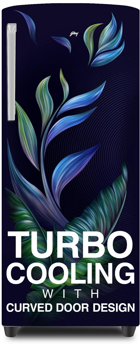 godrej 268 L Direct Cool Single Door 3 Star Refrigeratorwith Turbo Cooling Technology Ensuring Faster Cooling-picture-48