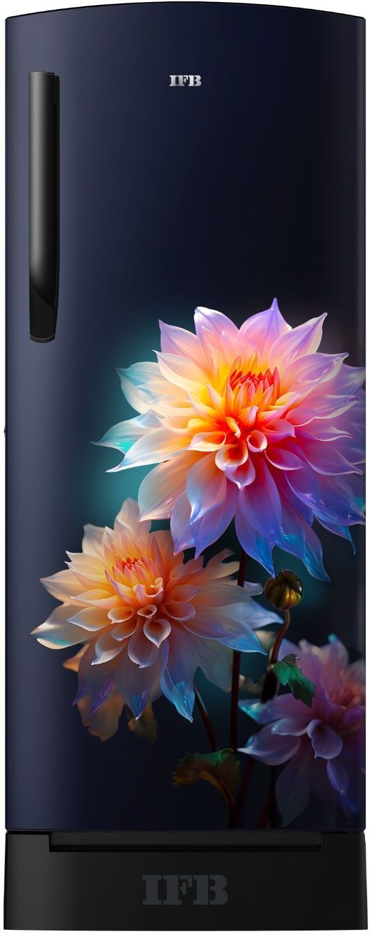 187 L Direct Cool Single Door 4 Star Refrigerator with Base Drawer