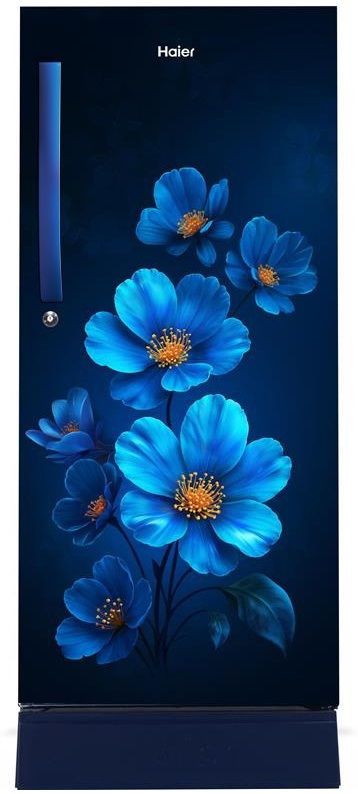 215 L Direct Cool Single Door 5 Star Refrigerator with Base Drawer-image-14