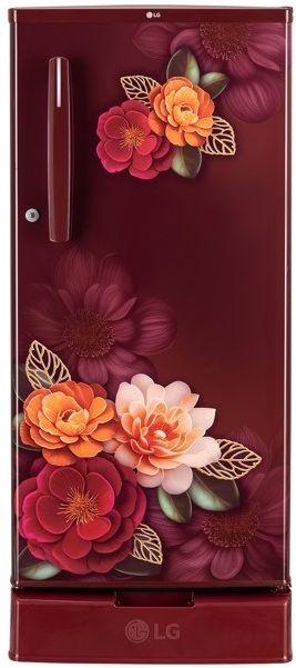 lg 185 L Direct Cool Single Door 2 Star Refrigerator with Base Drawer-picture-7