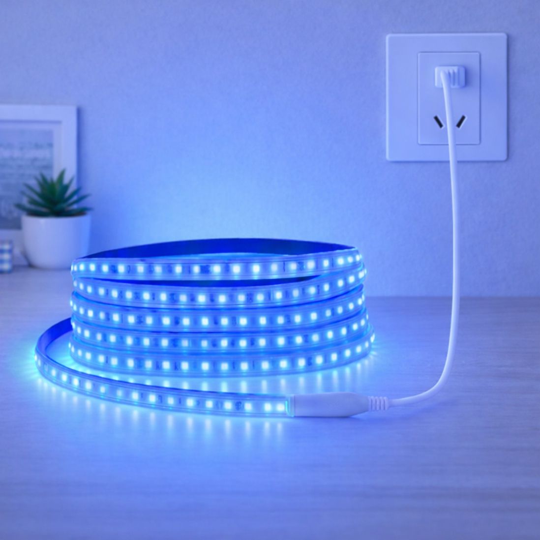 aa power 480 LEDs 4 m Blue Steady Strip Rice Lights-picture-31