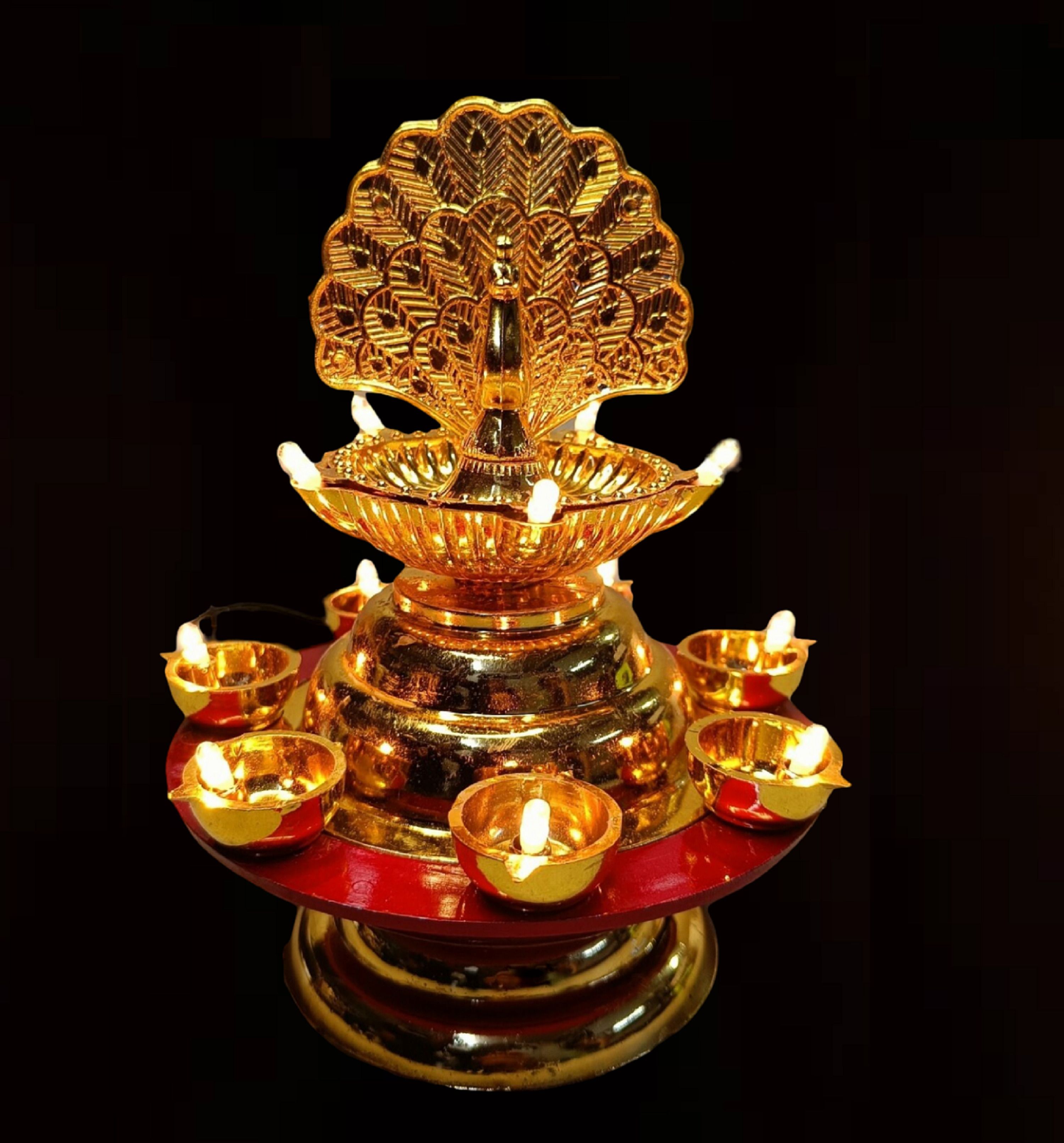 12 LEDs 0.16 m Gold Steady Diya Rice Lights-image-23