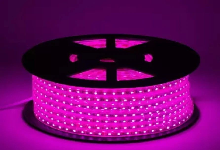 daiwik 144 LEDs 2 m Pink Steady Strip Rice Lights-picture-14