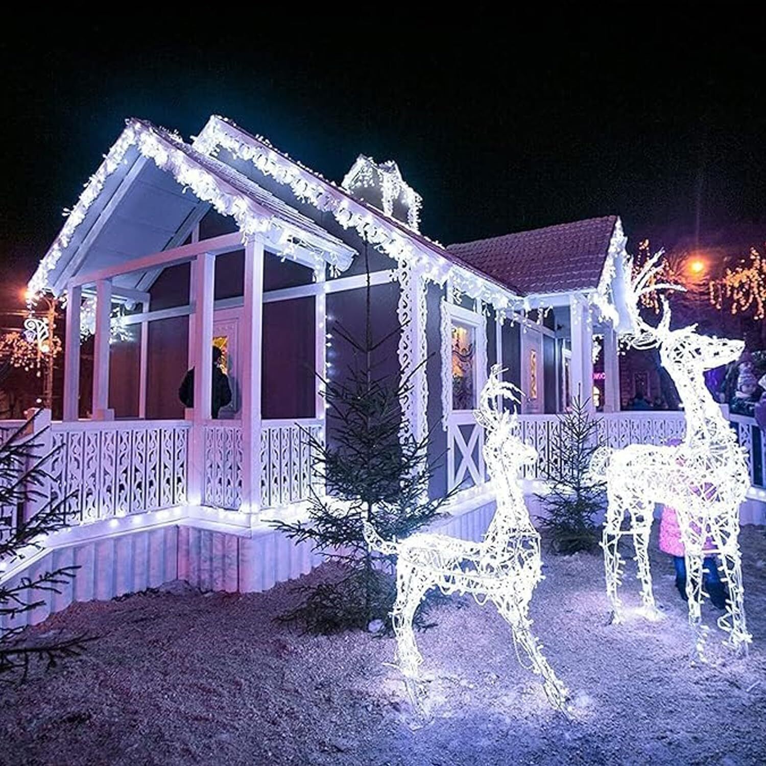 40 LEDs 12 m White Flickering, Steady Bulb Rice Lights-image-35