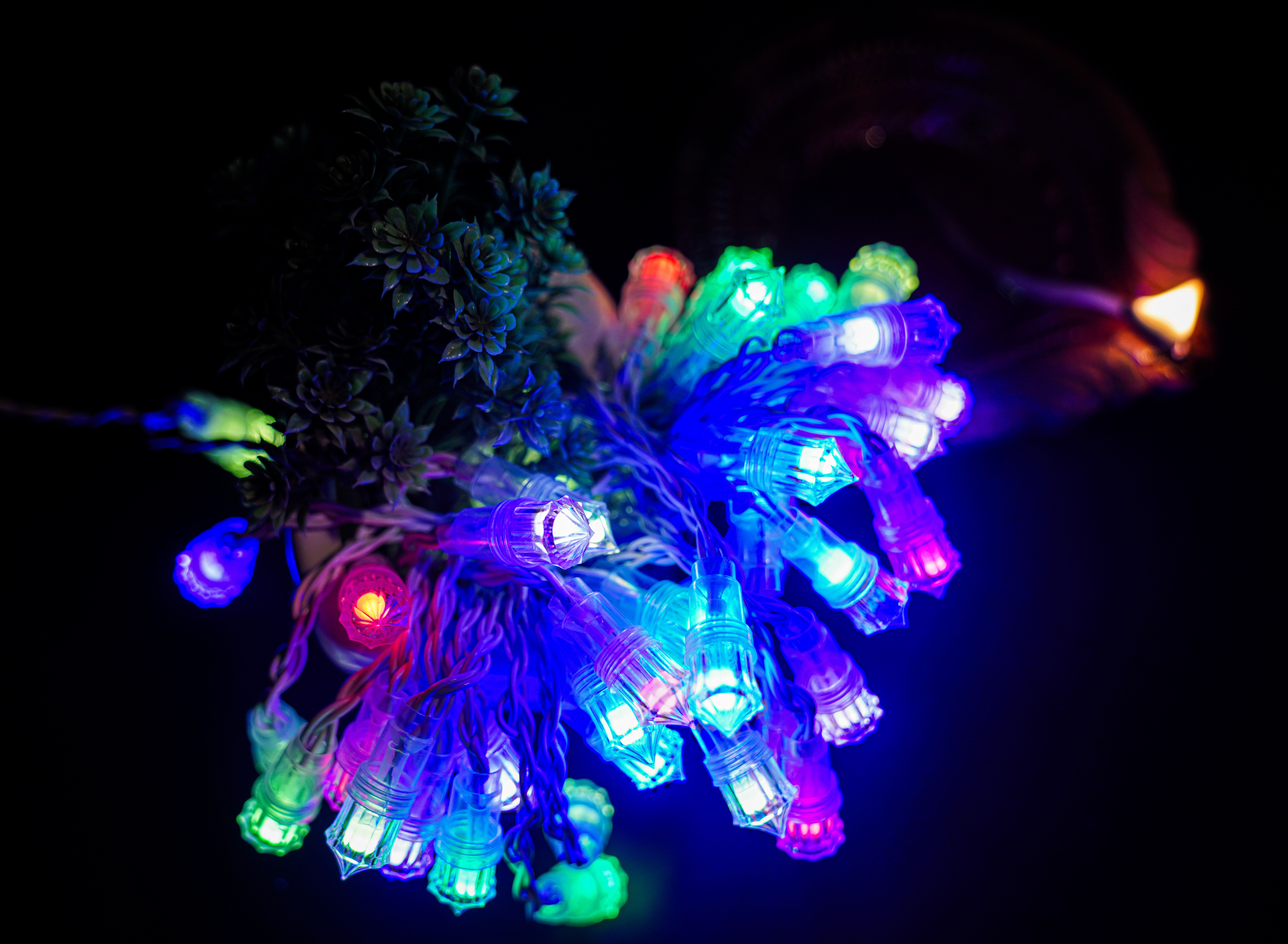 50 LEDs 0 m Multicolor Color Changing Strip Rice Lights-image-36