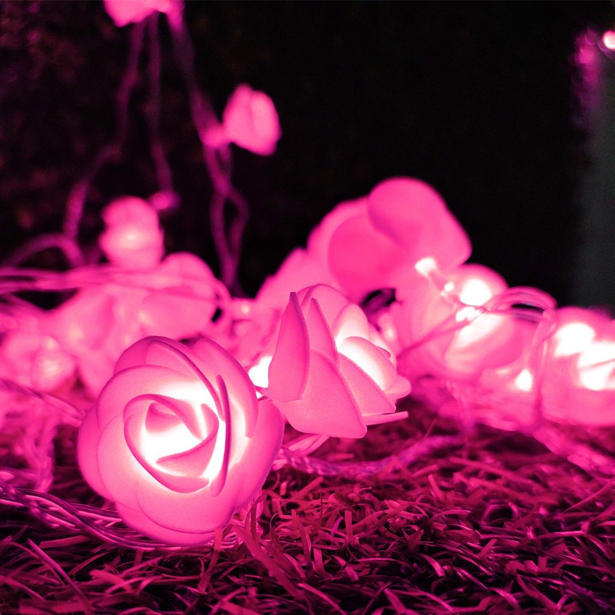 nisco 20 LEDs 4.1 m Pink Steady String Rice Lights-picture-15