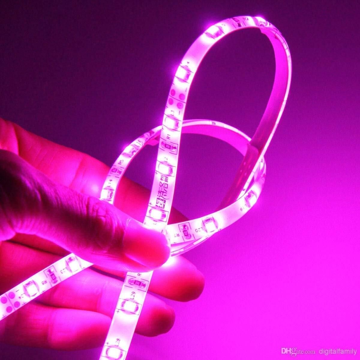 candle 240 LEDs 4 m Pink Steady Strip Rice Lights-picture-25