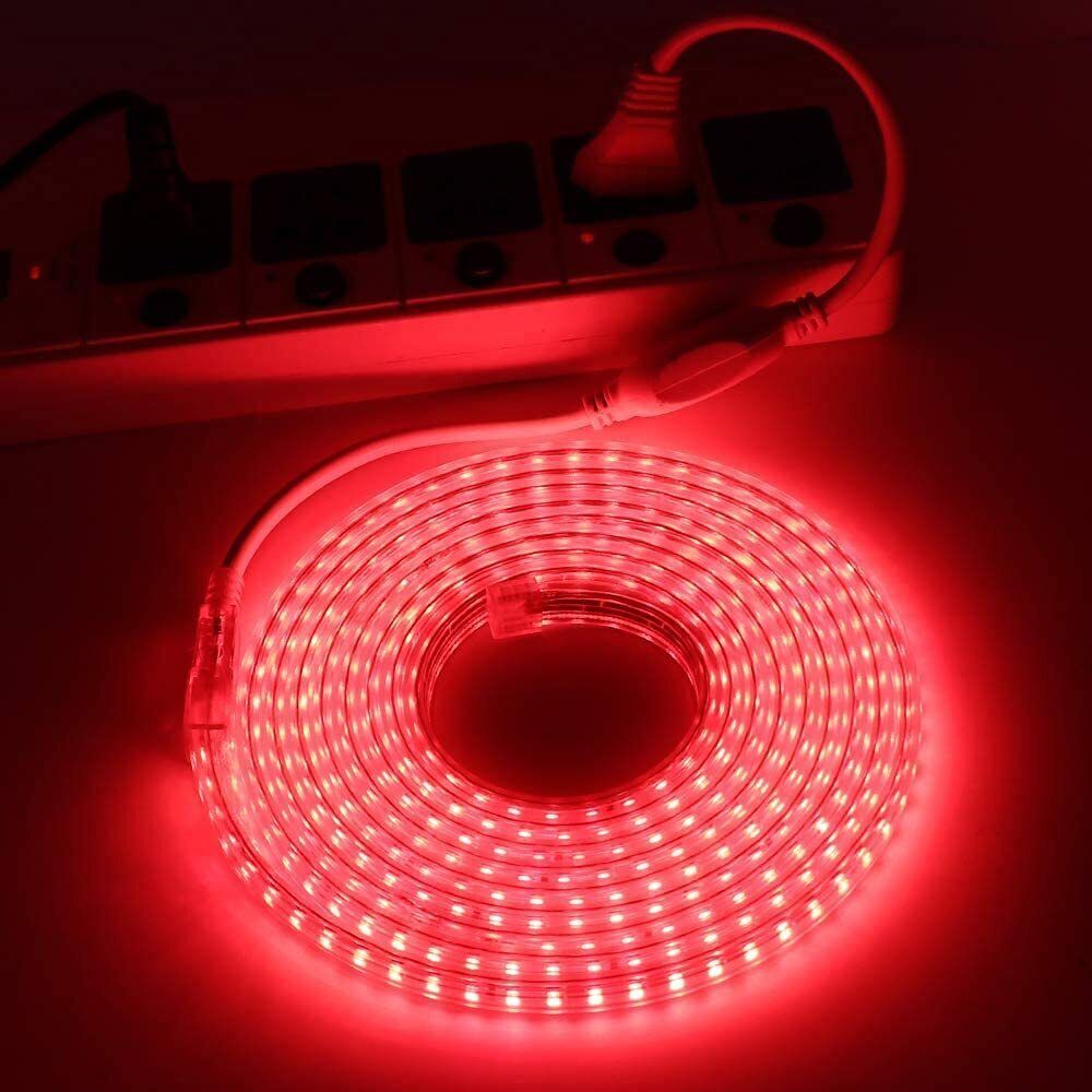 33 foot 10m rope light waterproof high brightness for indoor/outdoor use 720 LEDs 10 m Red Steady Strip Rice Lights-picture-16