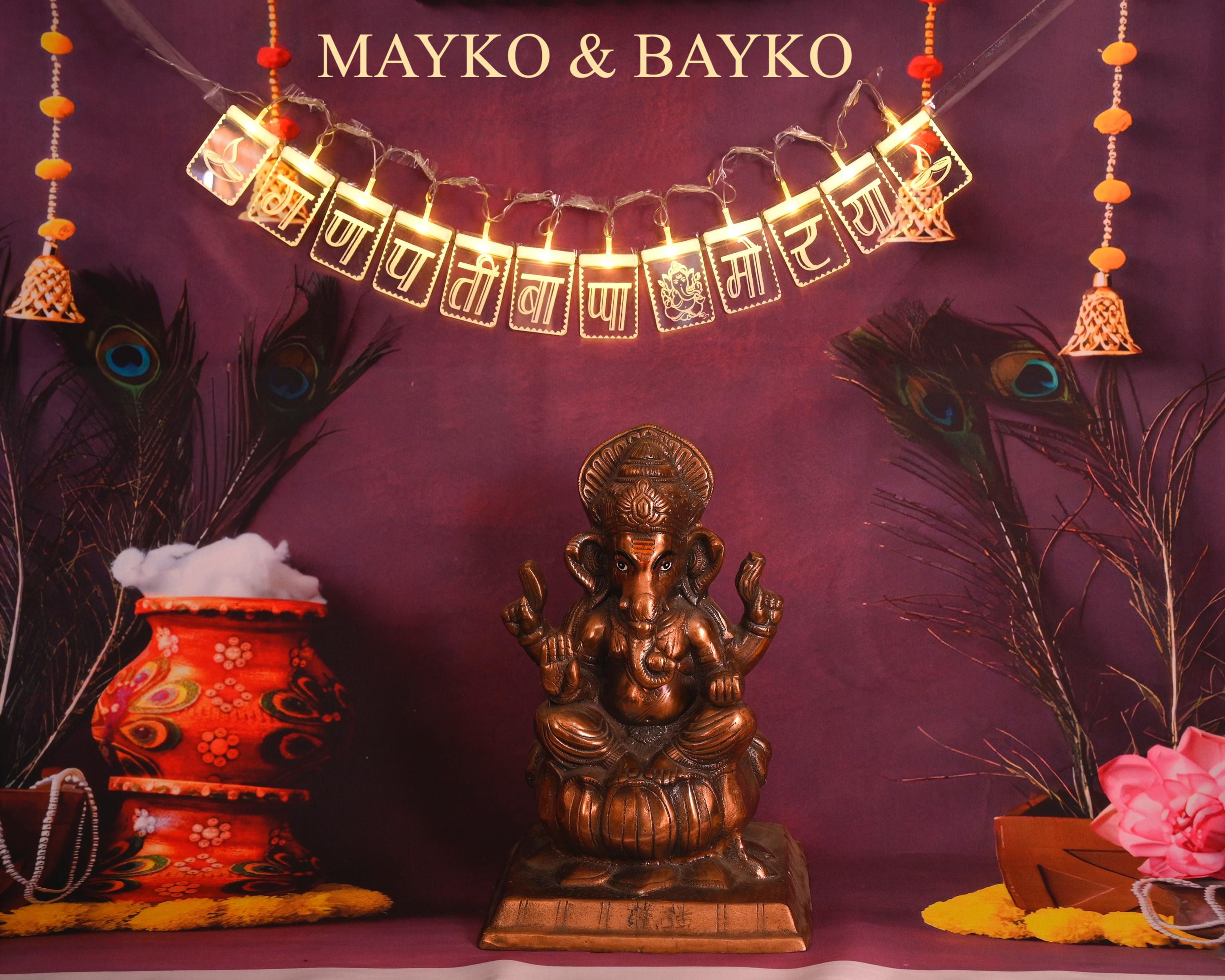 12 LEDs 3 m Multicolor Steady Ganesh Rice Lights-image-27