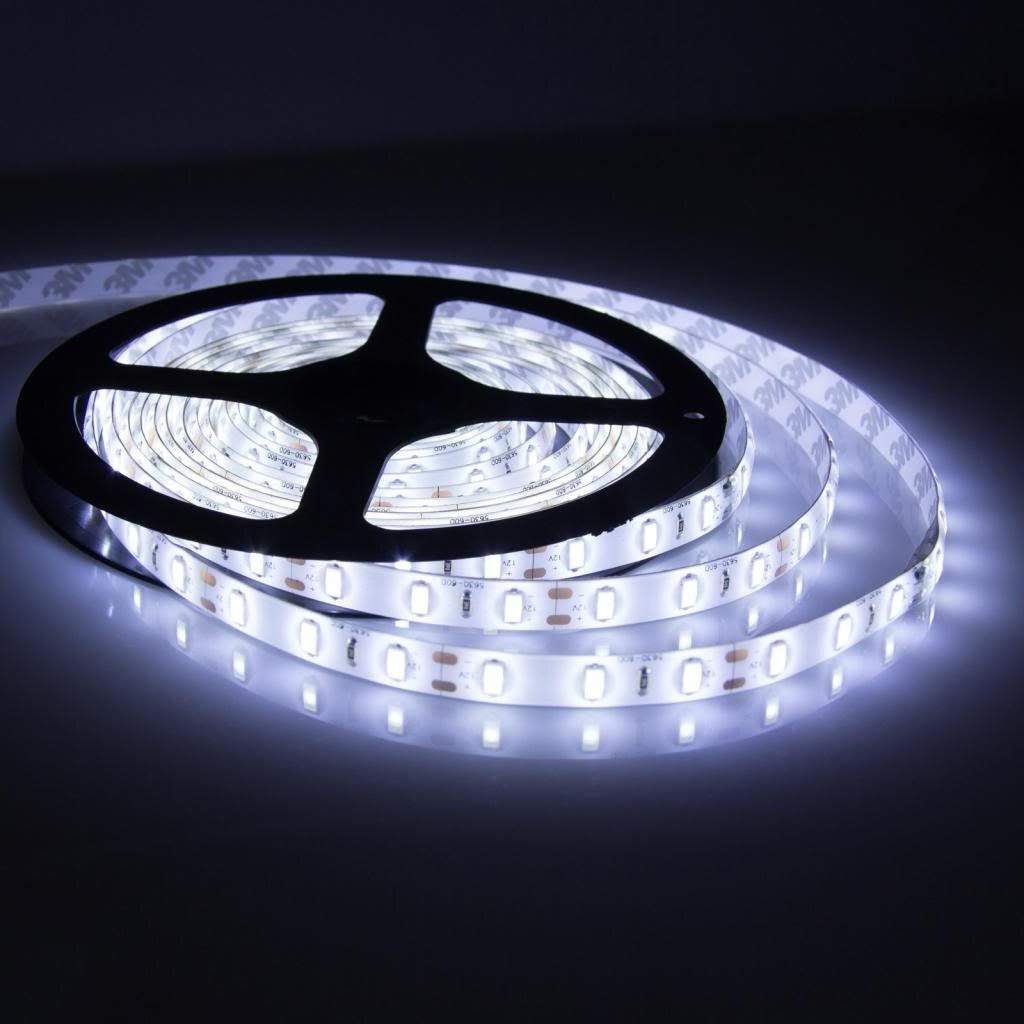 daiwik 600 LEDs 5 m White Steady Strip Rice Lights-picture-0