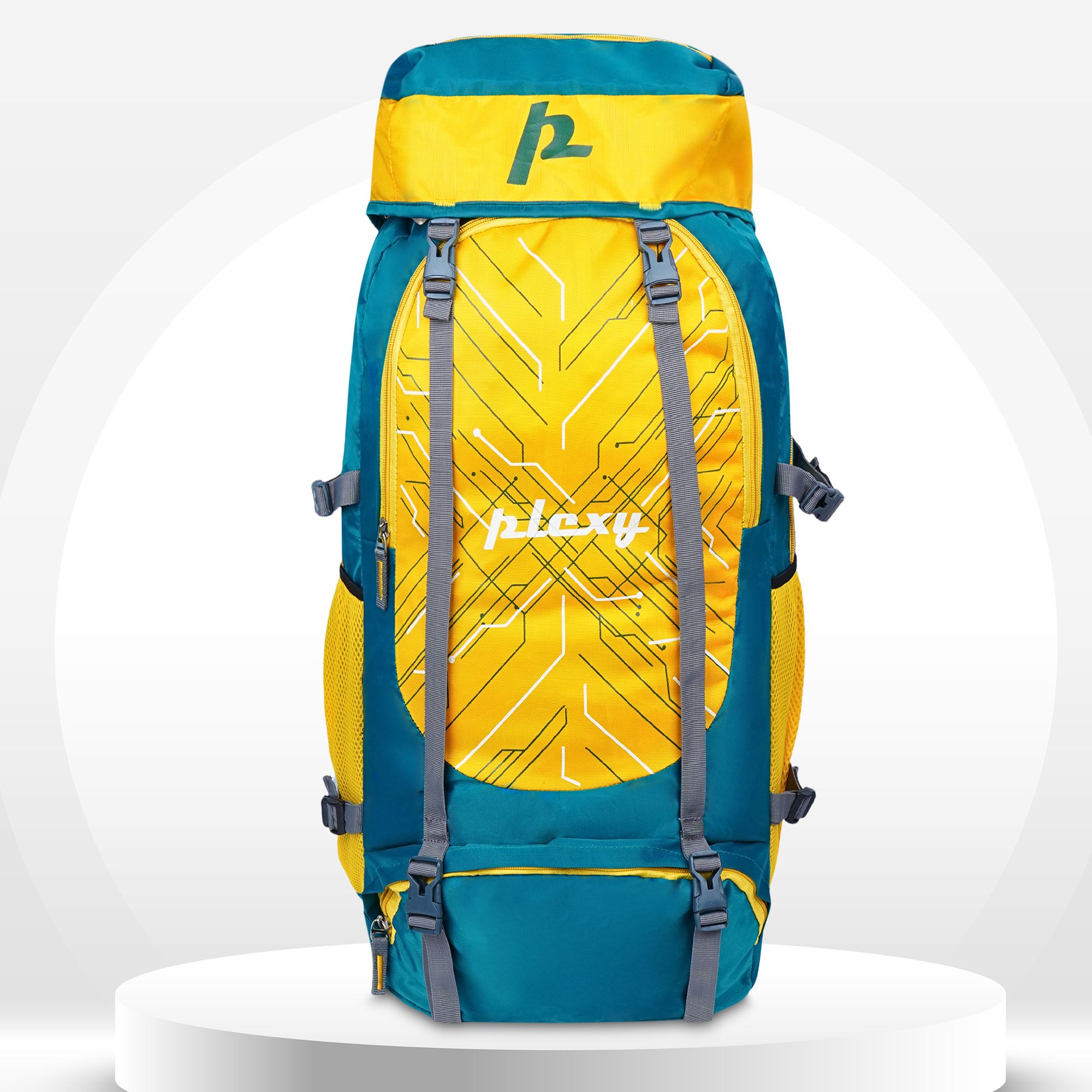 plexy Large 65 L Laptop Backpack TILTY STUUDED BAGPACK WITH SHOE COMPARTMENT-picture-15