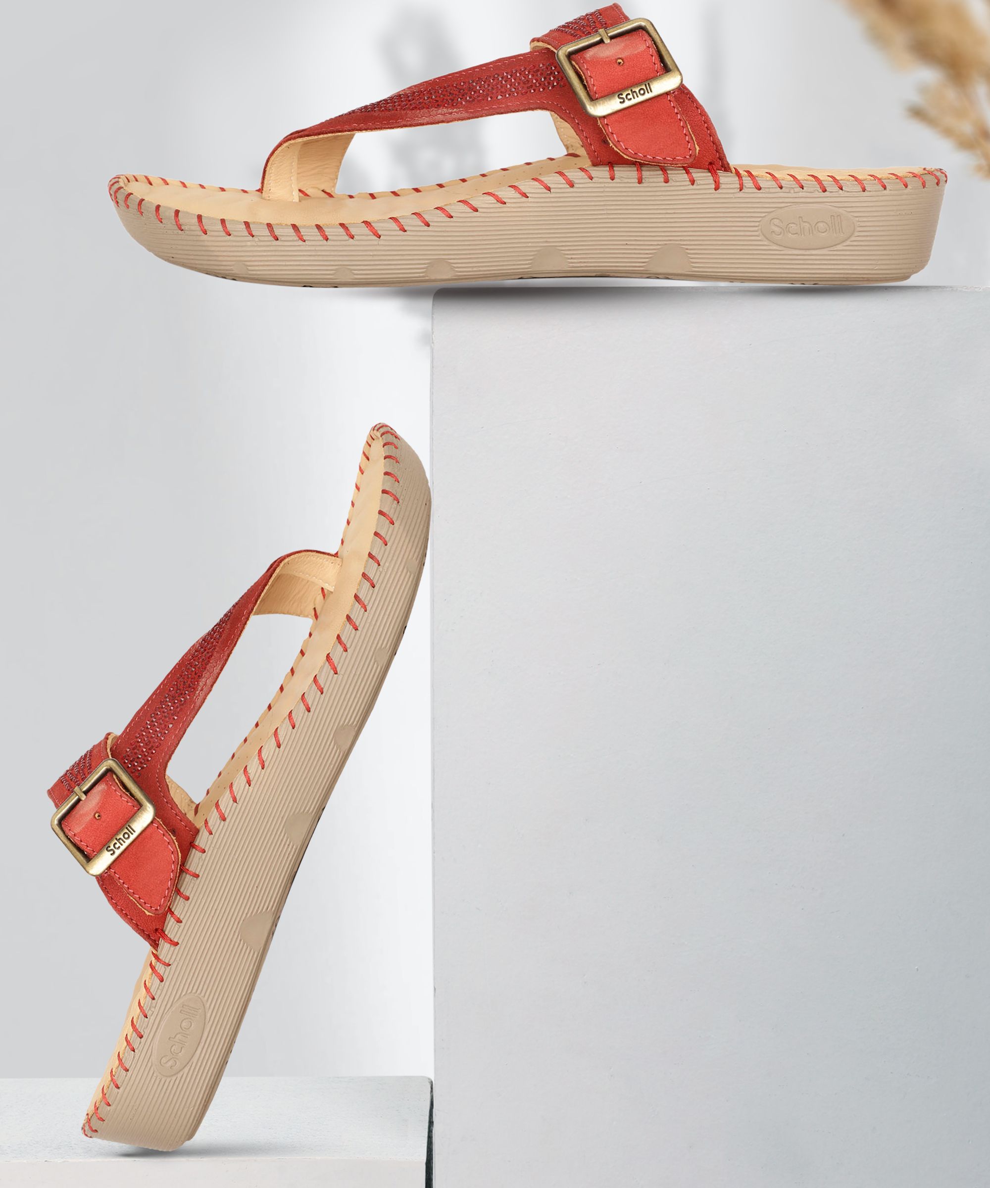 Women Flats Sandal-image-33