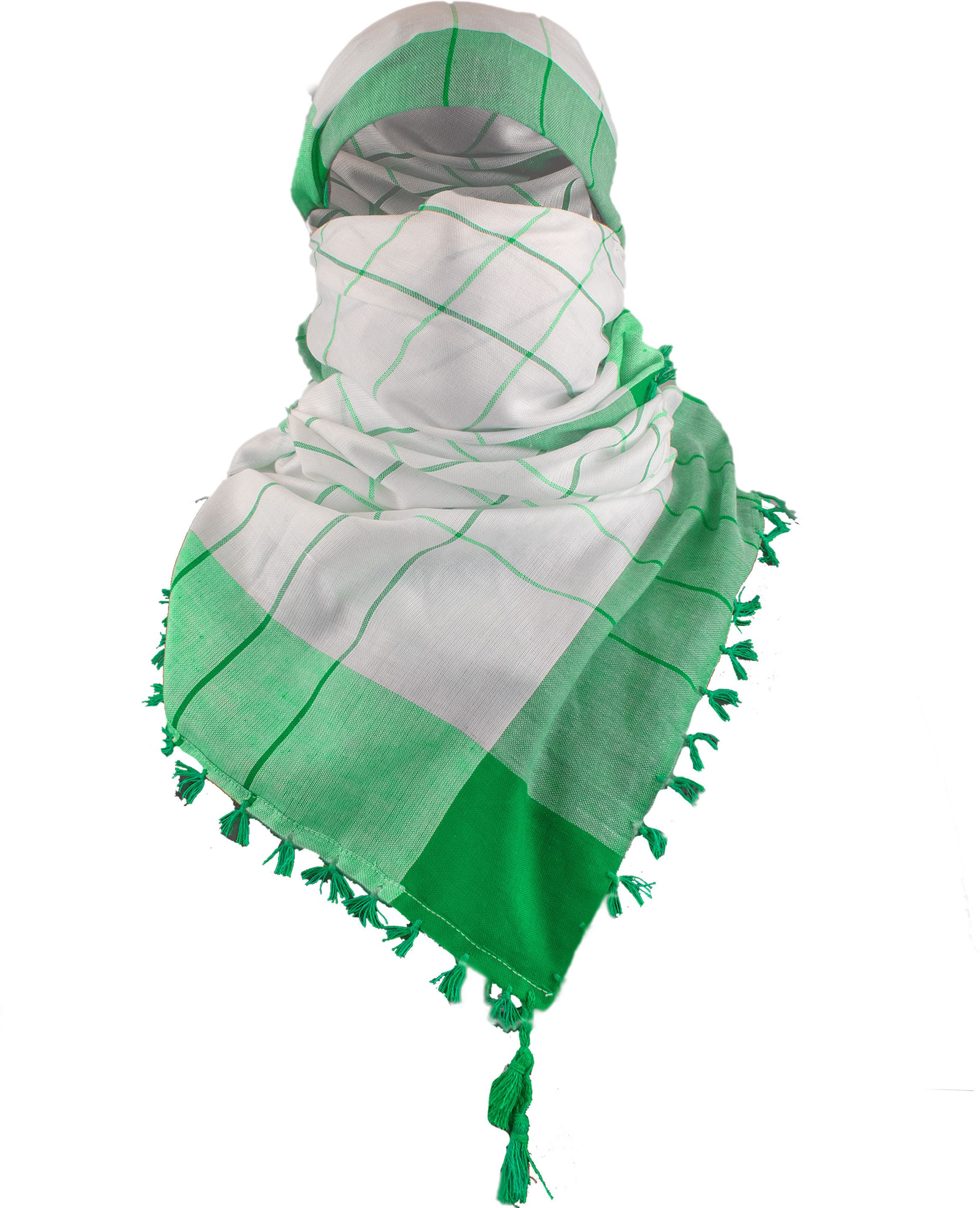 Checkered Cotton Blend Men Green, White Scarf-image-16