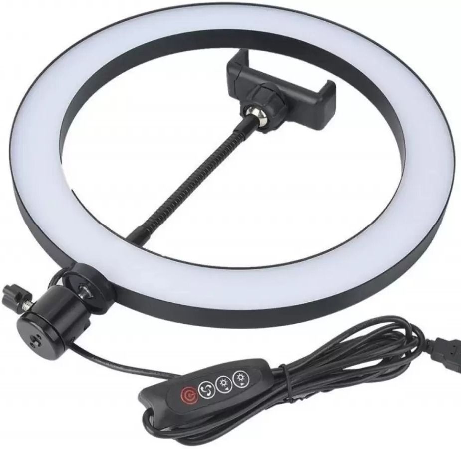 Flipkart SmartBuy 10 inch ring Selfie Flash