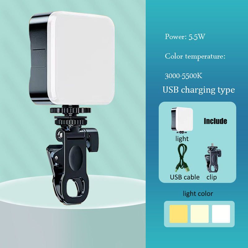 AGB 10 inch ring Selfie Flash-picture-18
