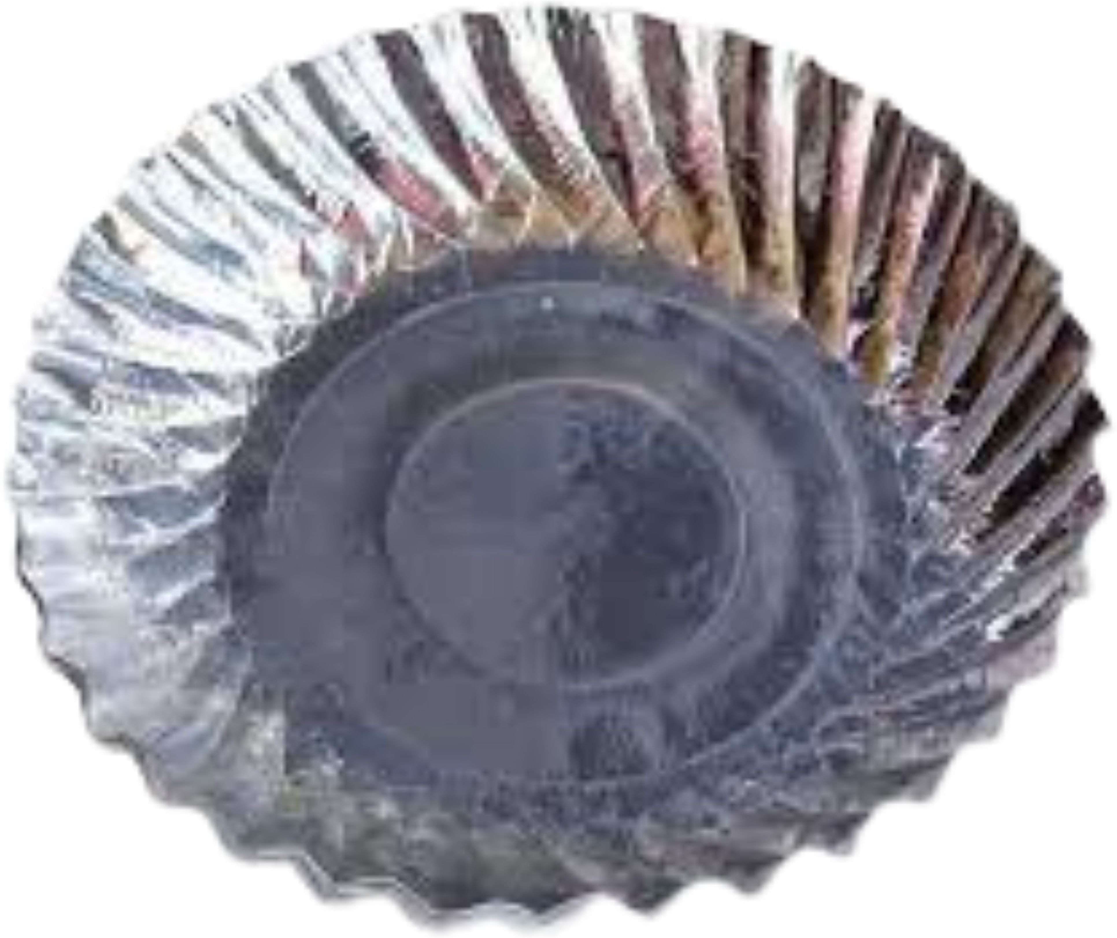 vek Disposal Sliver Paper Plate - Pack of 360 Pieces- 7 No.- 5.5 Inches Plate Serving Set-picture-16
