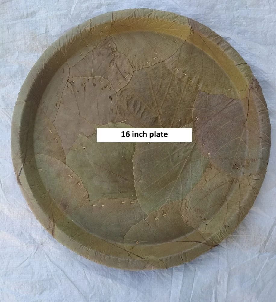 eco friendly disposable plates Natural leaf plate Dinner Plate Plate Serving Set-picture-21