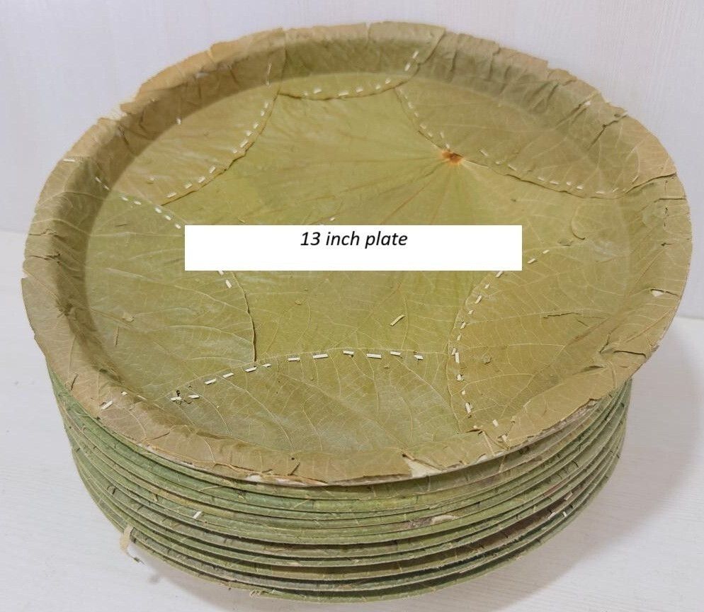 eco friendly disposable plates Natural leaf plate Dinner Plate Plate Serving Set-picture-14