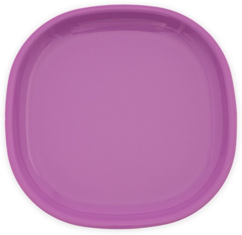 GULAAB' Plastic Plate Purple -Set Of 06 | Safe Snack Small Meals Full Plate Rice Plates-image-13