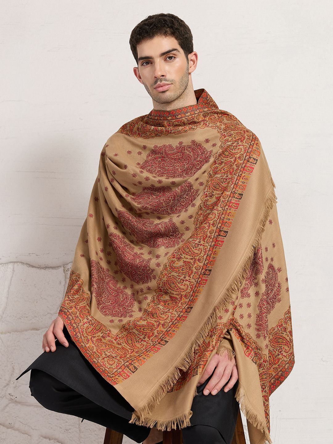 GREEN AGRITECH Pashmina, Wool Woven, Self Design Men Shawl-picture-25