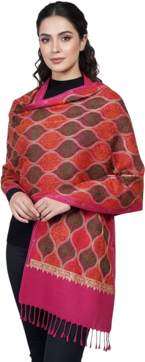 FANCYDUPATTA Pashmina Embroidered Women, Men Shawl-picture-28