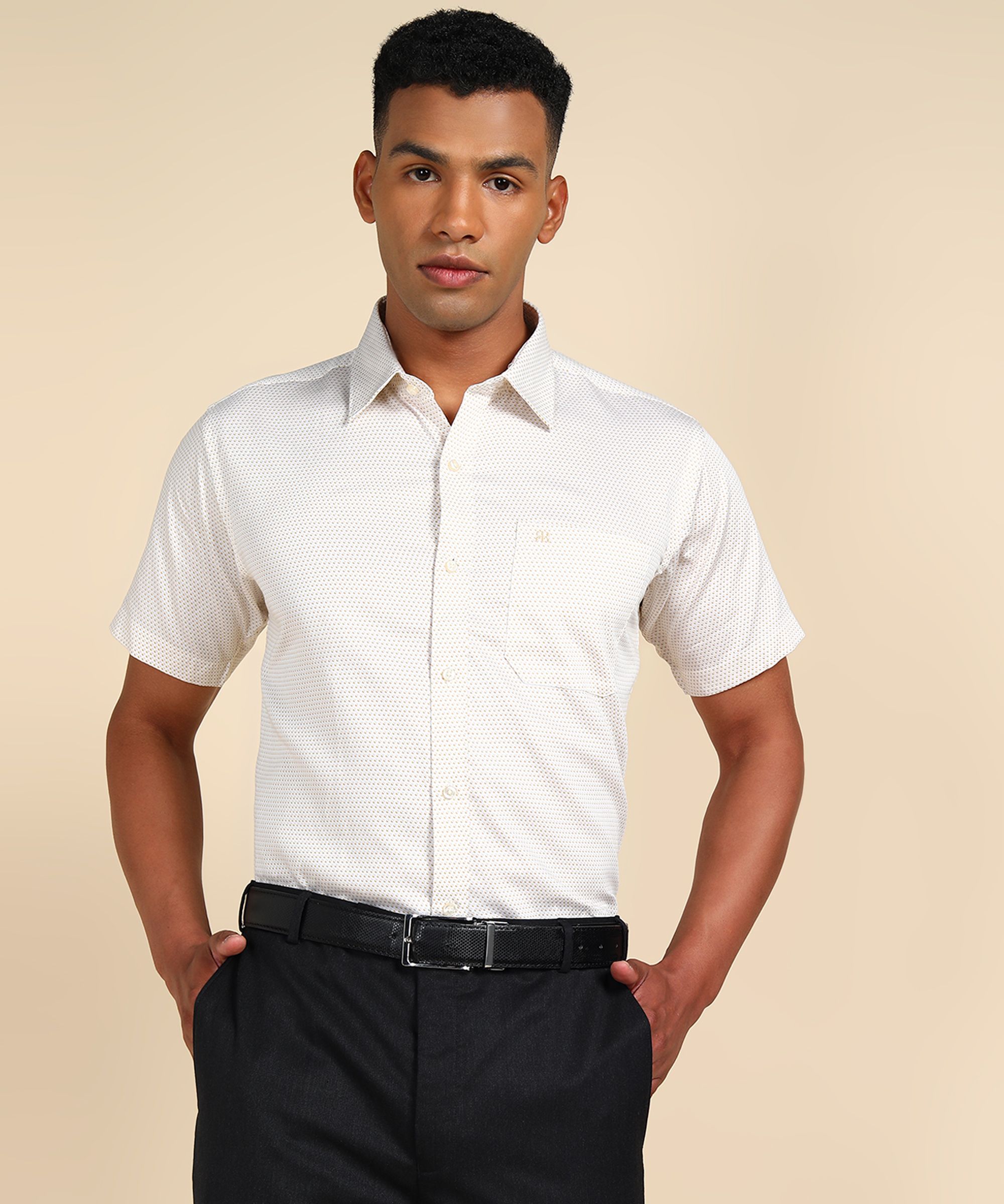 raymond Men Regular Fit Printed Formal Shirt-picture-13