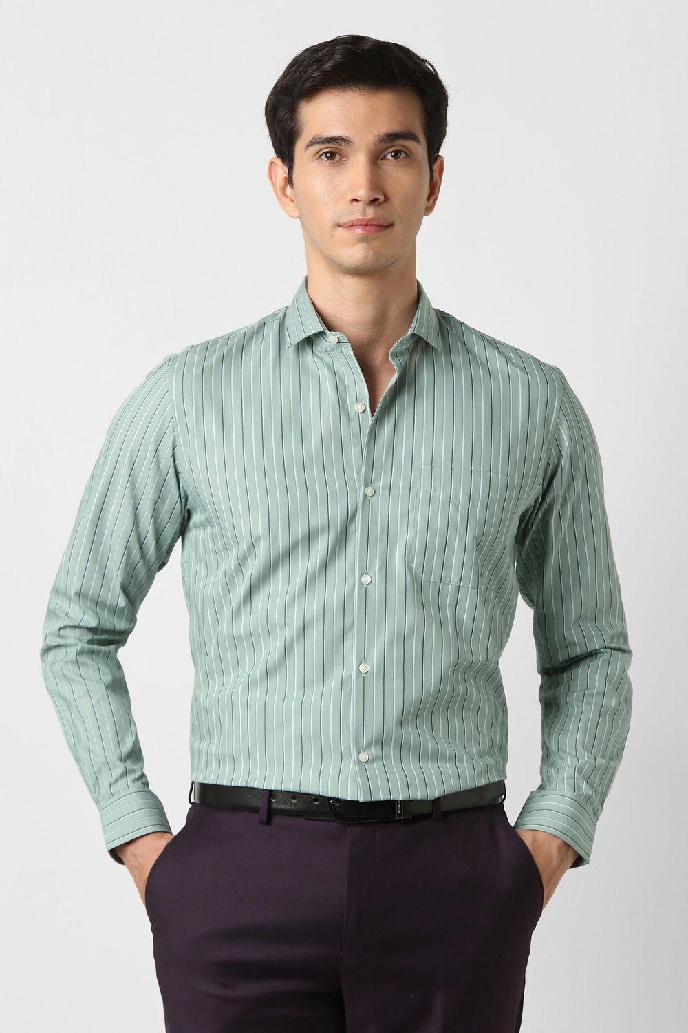 peter england Men Slim Fit Striped Formal Shirt-picture-40