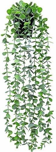 well art gallery greenery Wall Hanging without pot Vine For Home,Office decor Wild Artificial Plant-picture-19