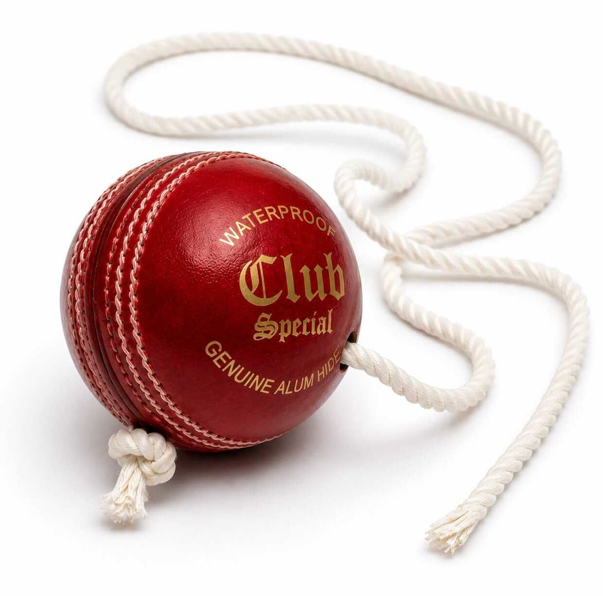 kargau Red Leather Cricket Training Ball for Nets Cricket Training Ball-picture-11