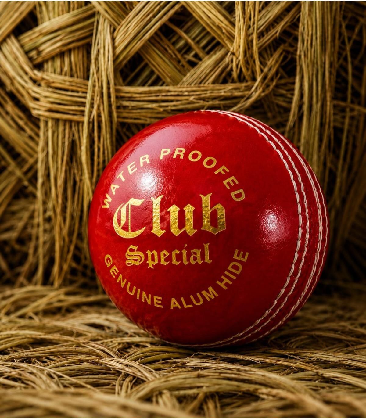 kargau Training & Match Leather Cricket Ball – Premium Red Finish Cricket Leather Ball-picture-1