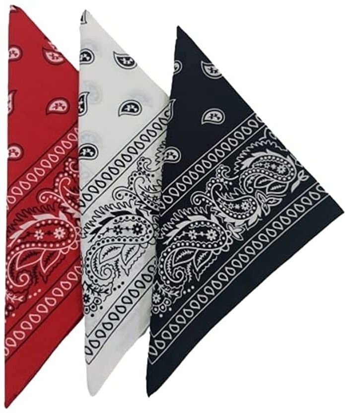 Men Printed Bandana-image-4