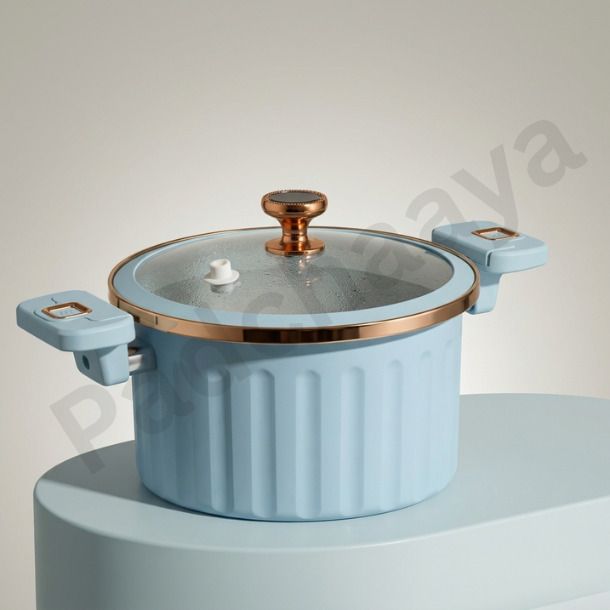 Non-Stick Micro Pressure Cooker with Glass Lid, Compact Stew Pot for Kitchen 10 L Induction Bottom Pressure Cooker-image-6