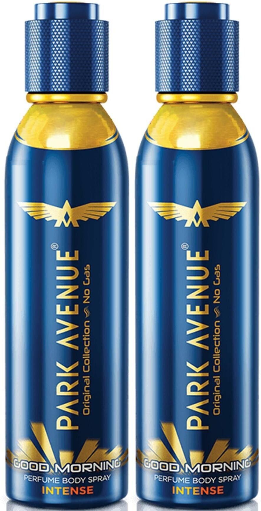 park avenue Good Morning Intense Perfumed Body Spray Deodorant Spray - For Men-picture-15